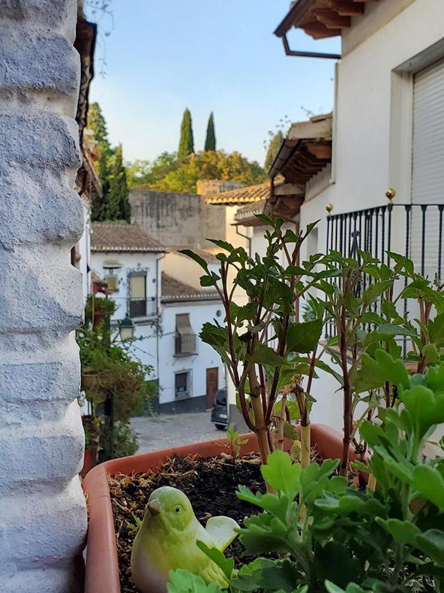 Banos Del Agua Villa Granada Kültér fotó